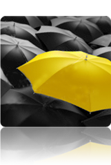 Marketing at Klick Solutions